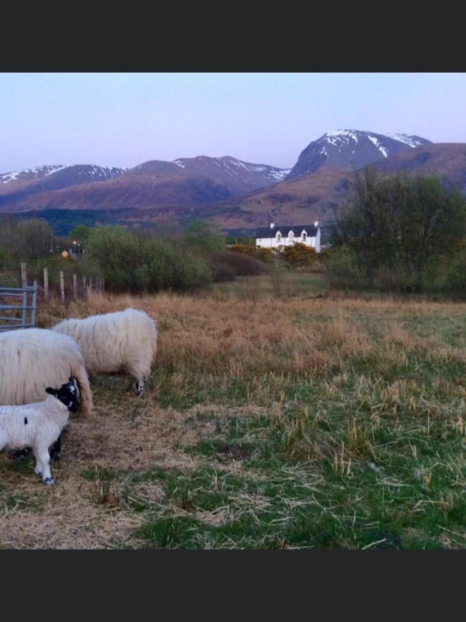 The Shielings By Inverlochy Villas Fort William Bagian luar foto